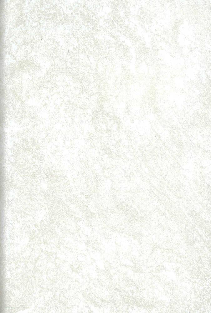 simil bianco marmo 21010AF